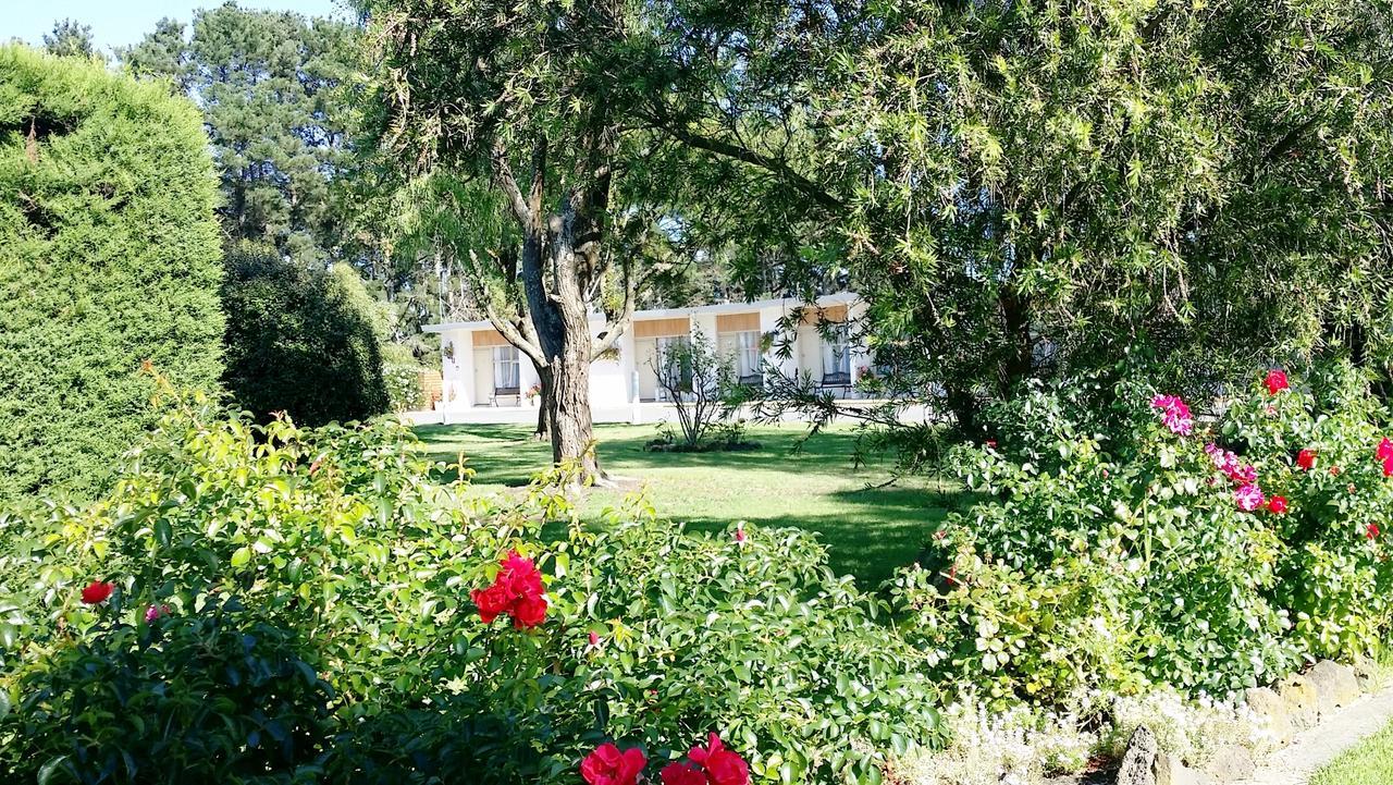 The Terang Motor Inn Εξωτερικό φωτογραφία
